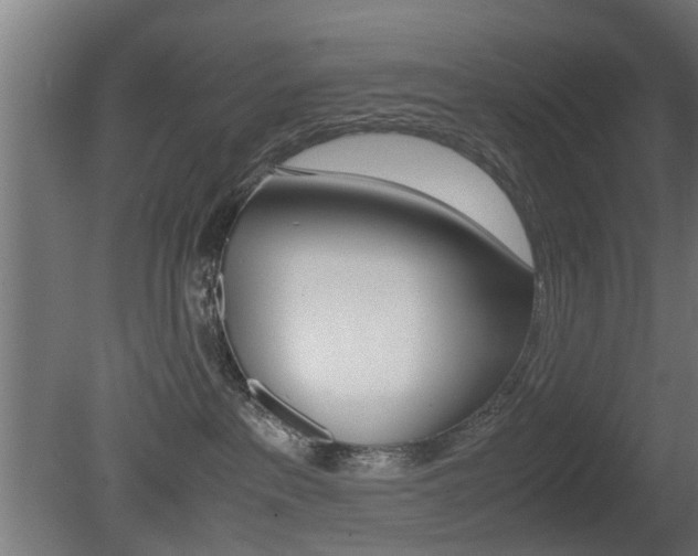 X0000081270237200701110916