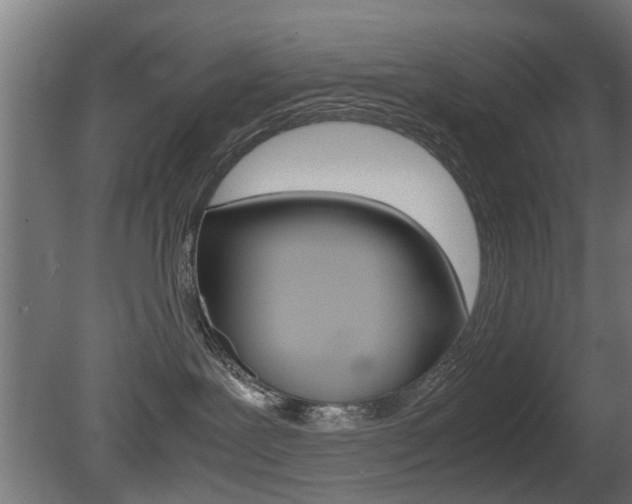X0000081270239200701110916