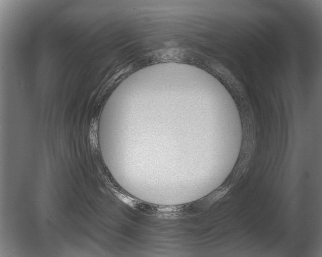 X0000081270240200701110916