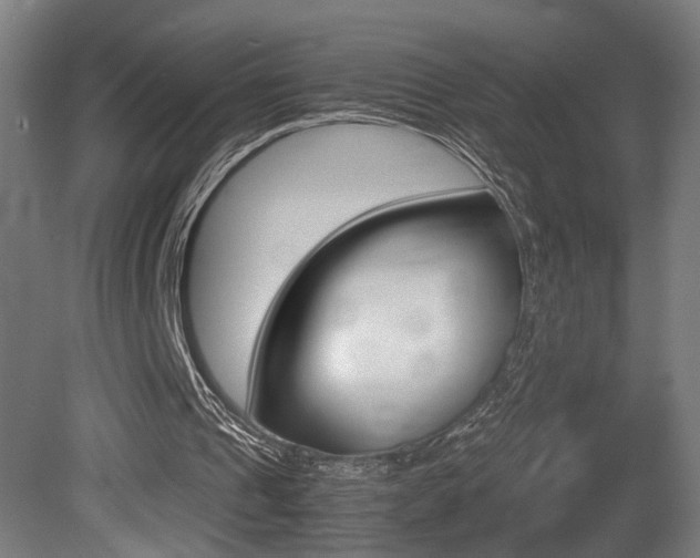 X0000081270241200701110915