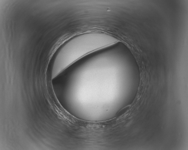 X0000081270242200701110915