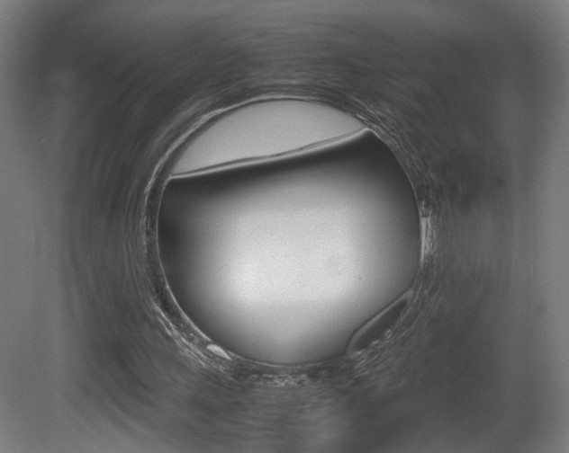 X0000081270243200701110915