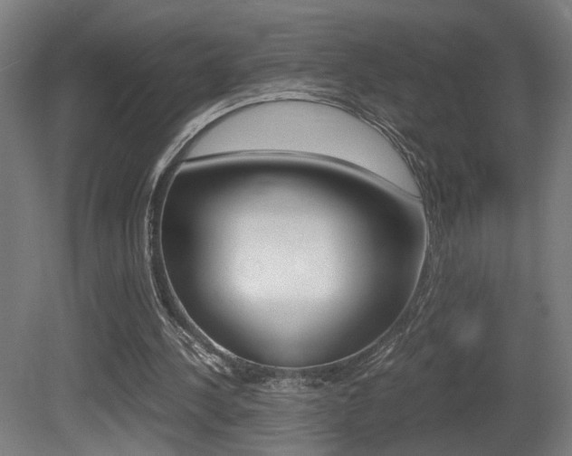 X0000081270244200701110915