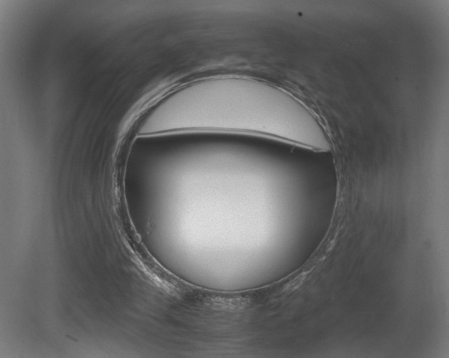 X0000081270245200701110915