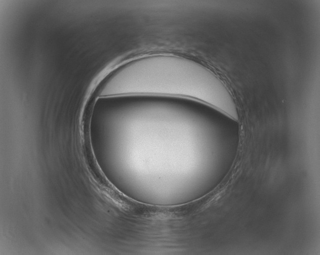 X0000081270246200701110915