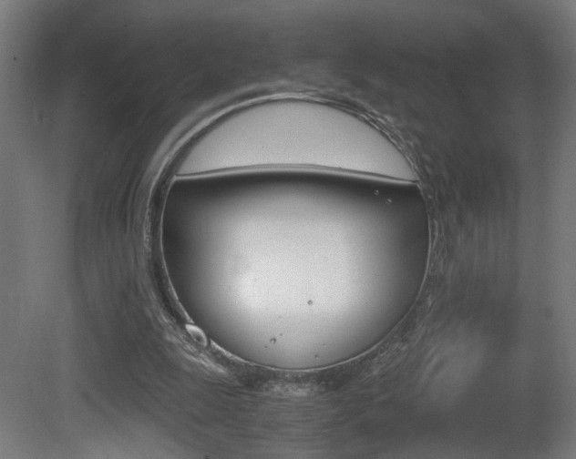 X0000081270247200701110915