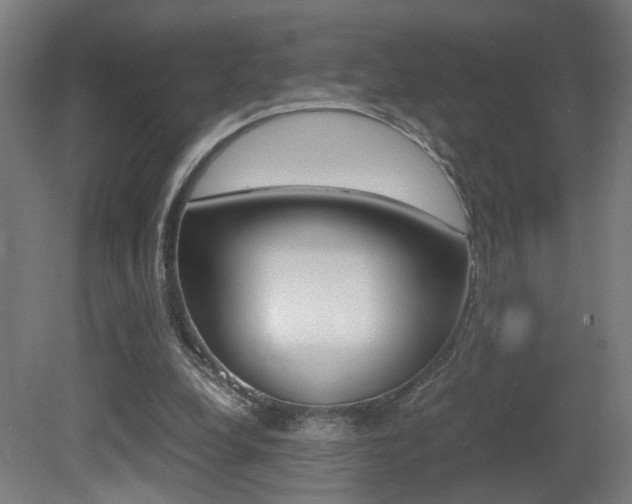 X0000081270248200701110915
