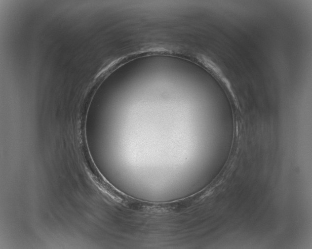 X0000081270249200701110915
