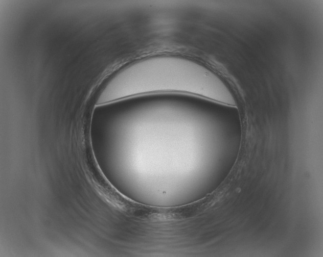X0000081270250200701110915