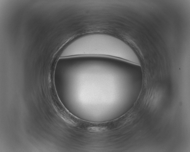 X0000081270251200701110915
