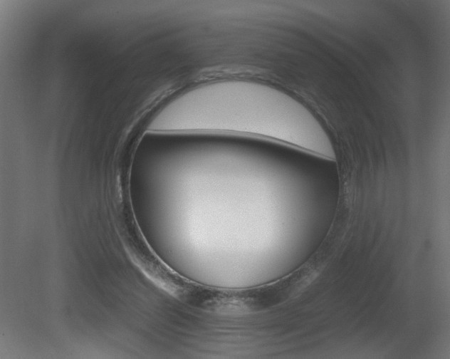 X0000081270254200701110915