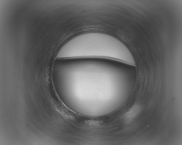 X0000081270255200701110915