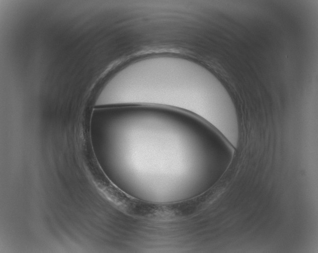 X0000081270256200701110915