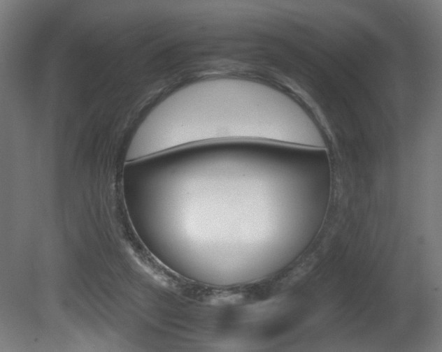 X0000081270257200701110915