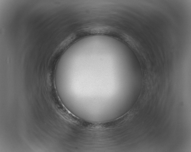 X0000081270258200701110915