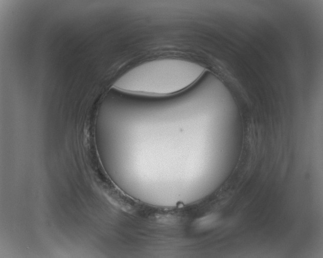 X0000081270259200701110915