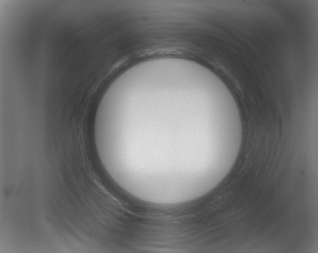 X0000081270260200701110915