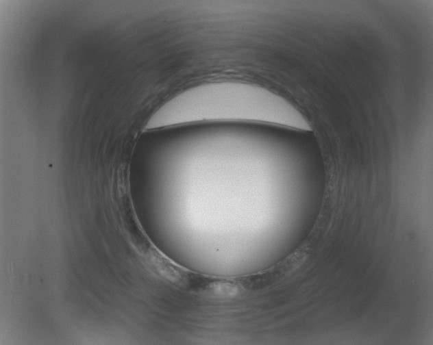 X0000081270272200701110915