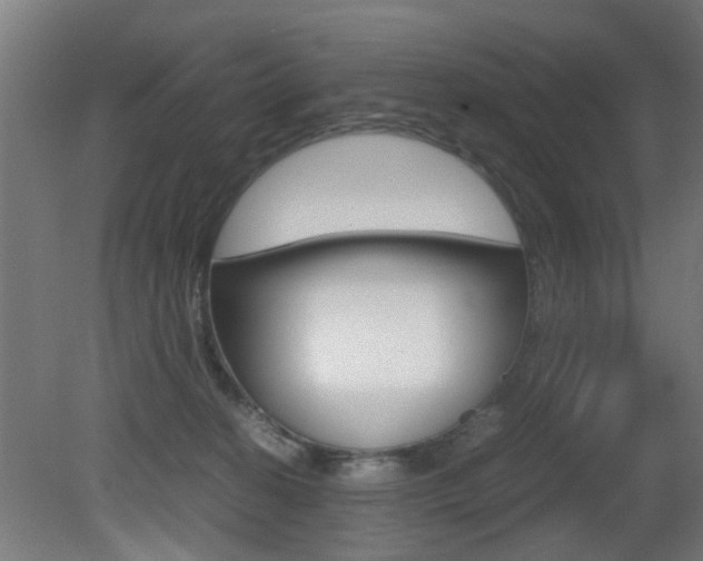 X0000081270274200701110915
