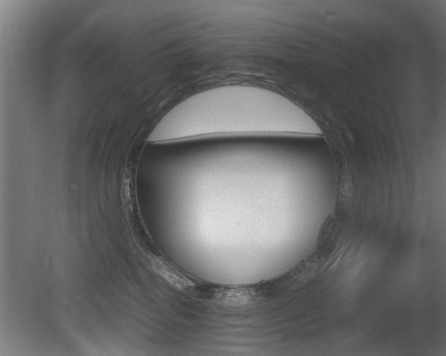 X0000081270282200701110916