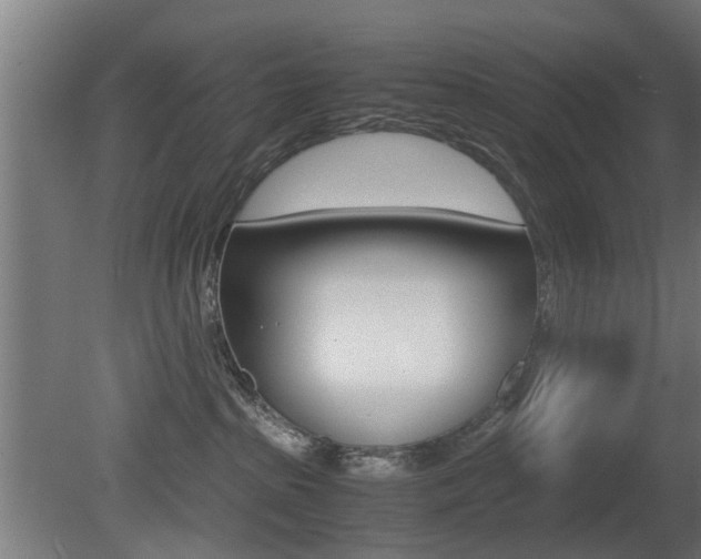 X0000081270285200701110916