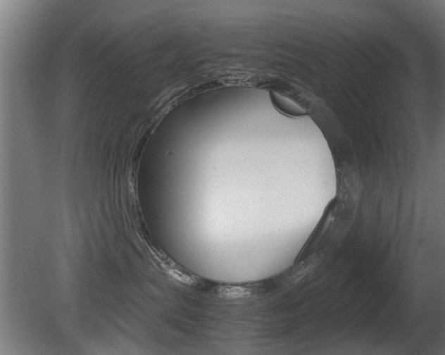 X0000081270287200701110916