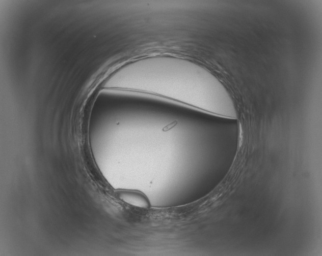 X0000081270291200701110915