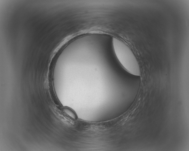 X0000081270292200701110915