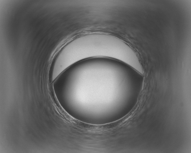 X0000081270293200701110915