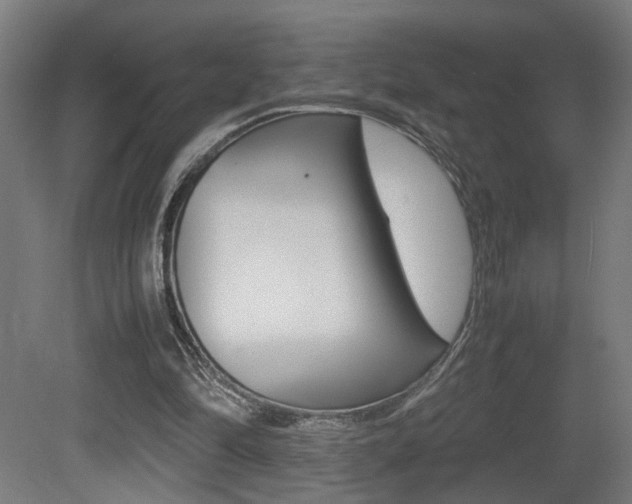X0000081270294200701110915