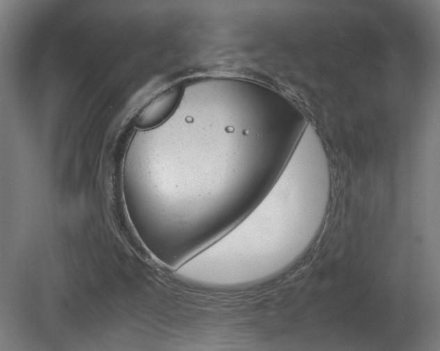 X0000081270295200701110915