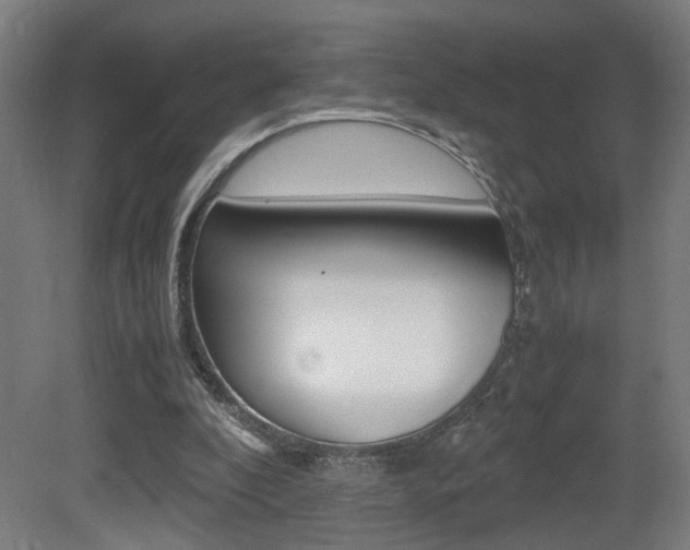 X0000081270296200701110915