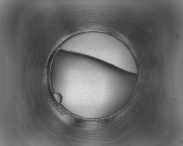 X0000081270298200701110915