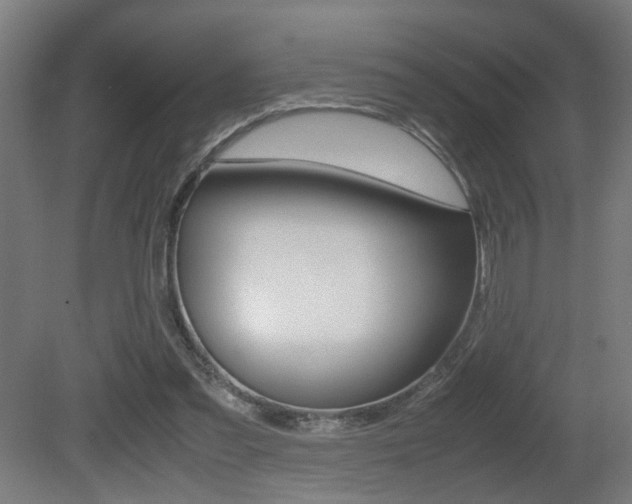 X0000081270301200701110915