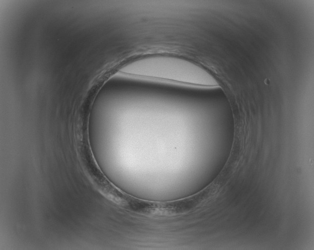 X0000081270303200701110915