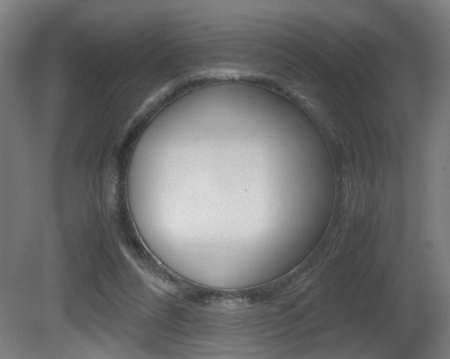 X0000081270304200701110915