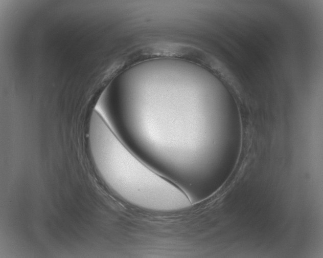 X0000081270305200701110915