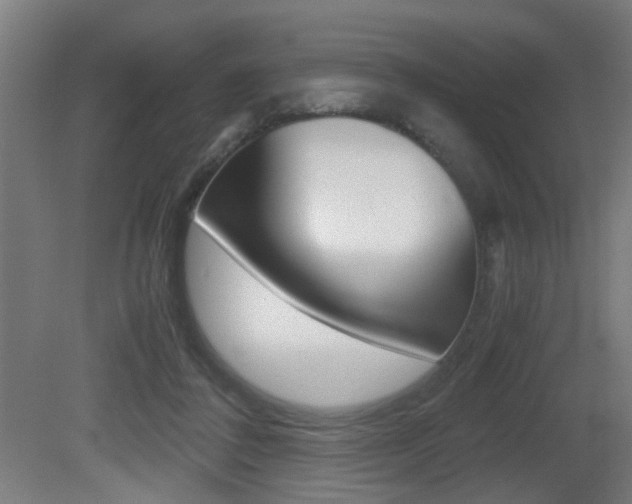 X0000081270308200701110915