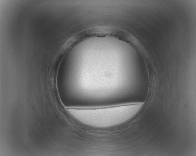 X0000081270309200701110915