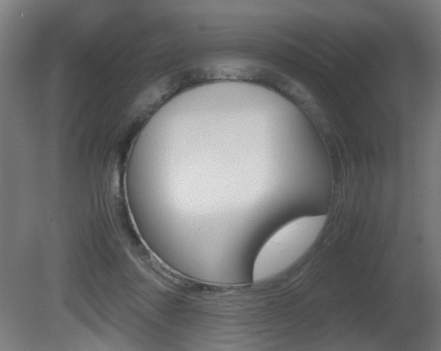 X0000081270310200701110915