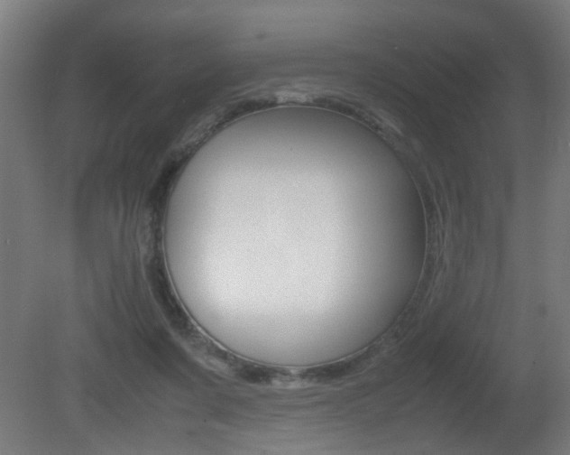 X0000081270311200701110915