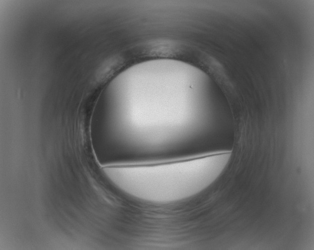X0000081270312200701110914