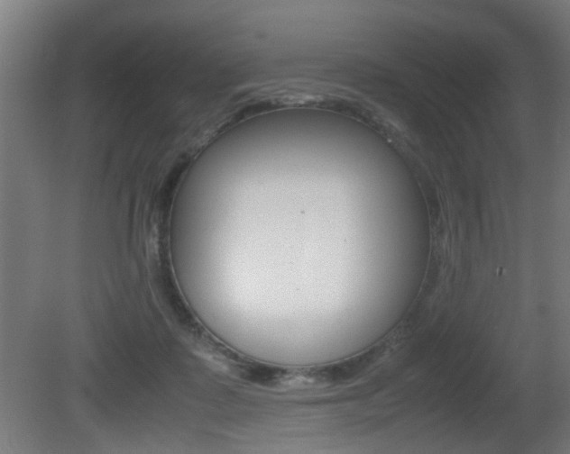 X0000081270315200701110914
