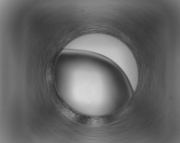 X0000081270317200701110914