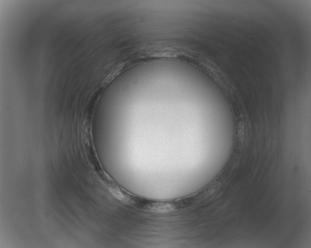X0000081270322200701110914