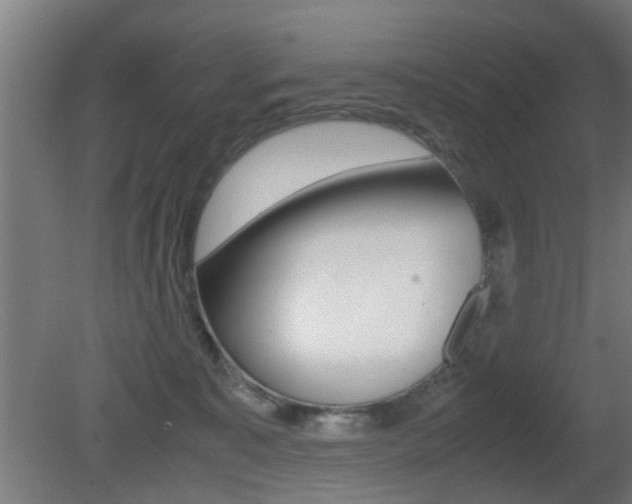 X0000081270323200701110914