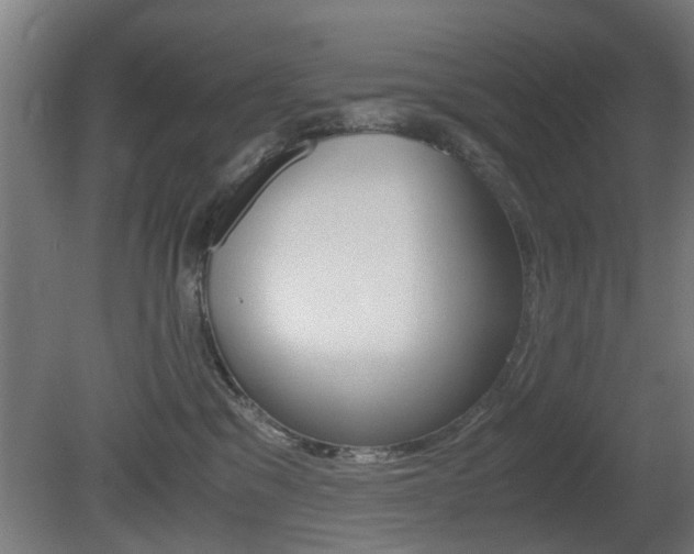 X0000081270329200701110914