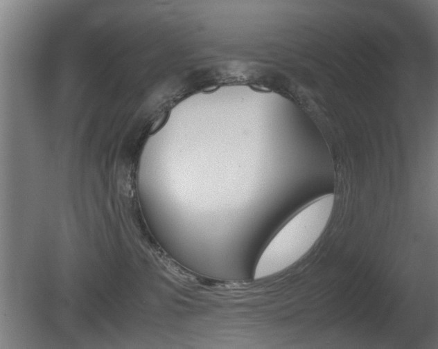 X0000081270331200701110914