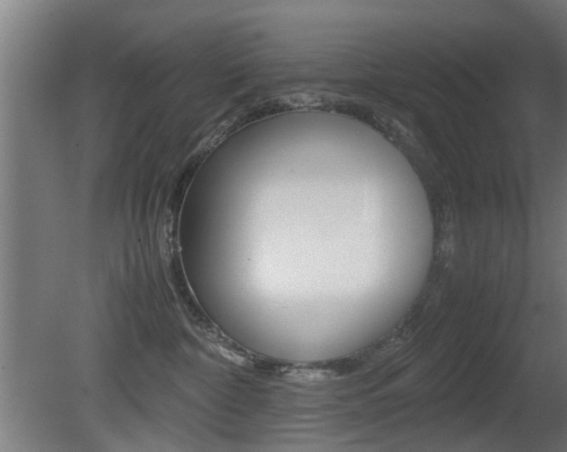 X0000081270332200701110914