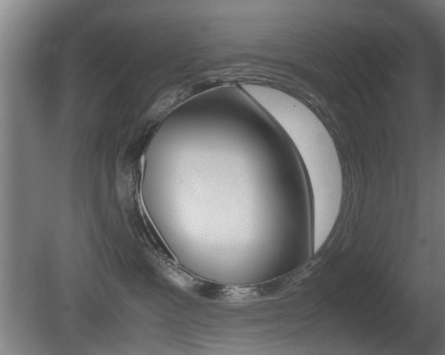 X0000081270333200701110914